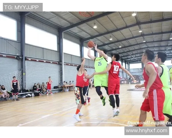 南京排球队在钻石联赛中的技术表现分析与未来发展展望 南京排球队在钻石联赛中的技术表现分析与未来发展展望