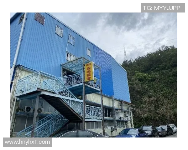 深圳羽毛球队转型升级之路探秘与未来展望