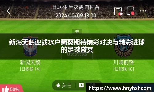 新泻天鹅迎战水户蜀葵期待精彩对决与精彩进球的足球盛宴
