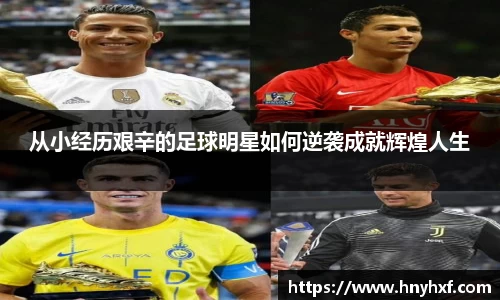 立博官网